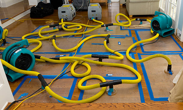 Professional Sewage Cleanup technician working in Weston, CO